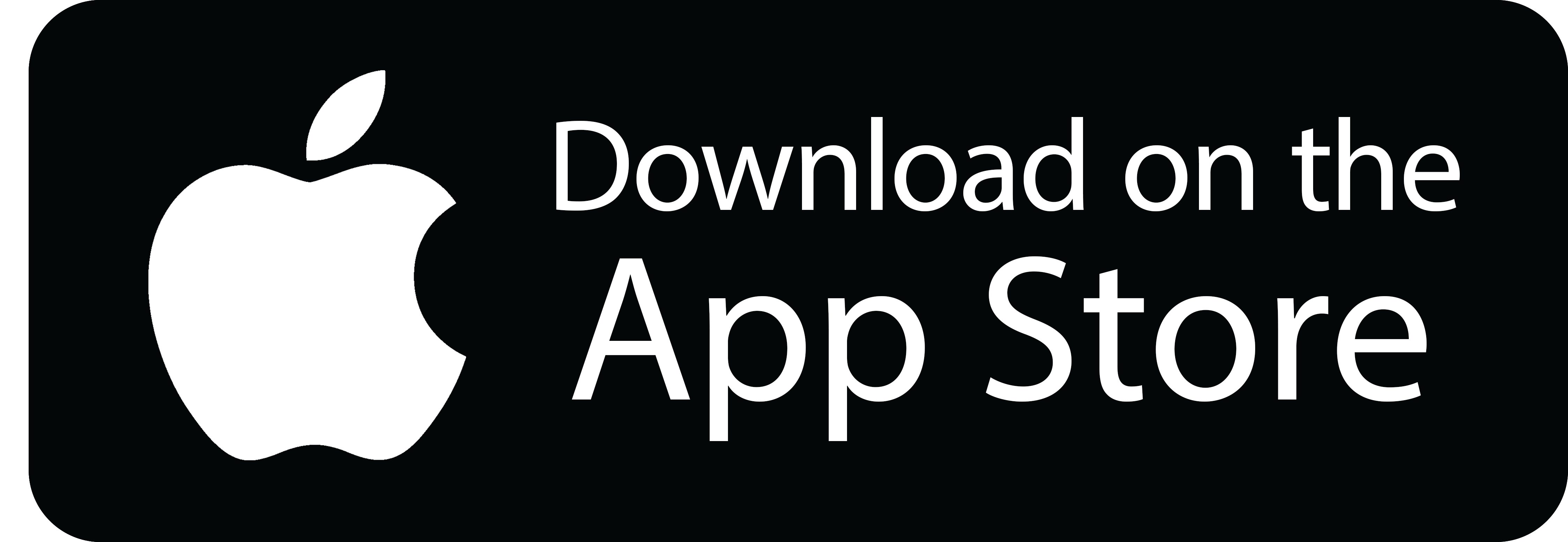 Resultado de imagen para icono de app store png
